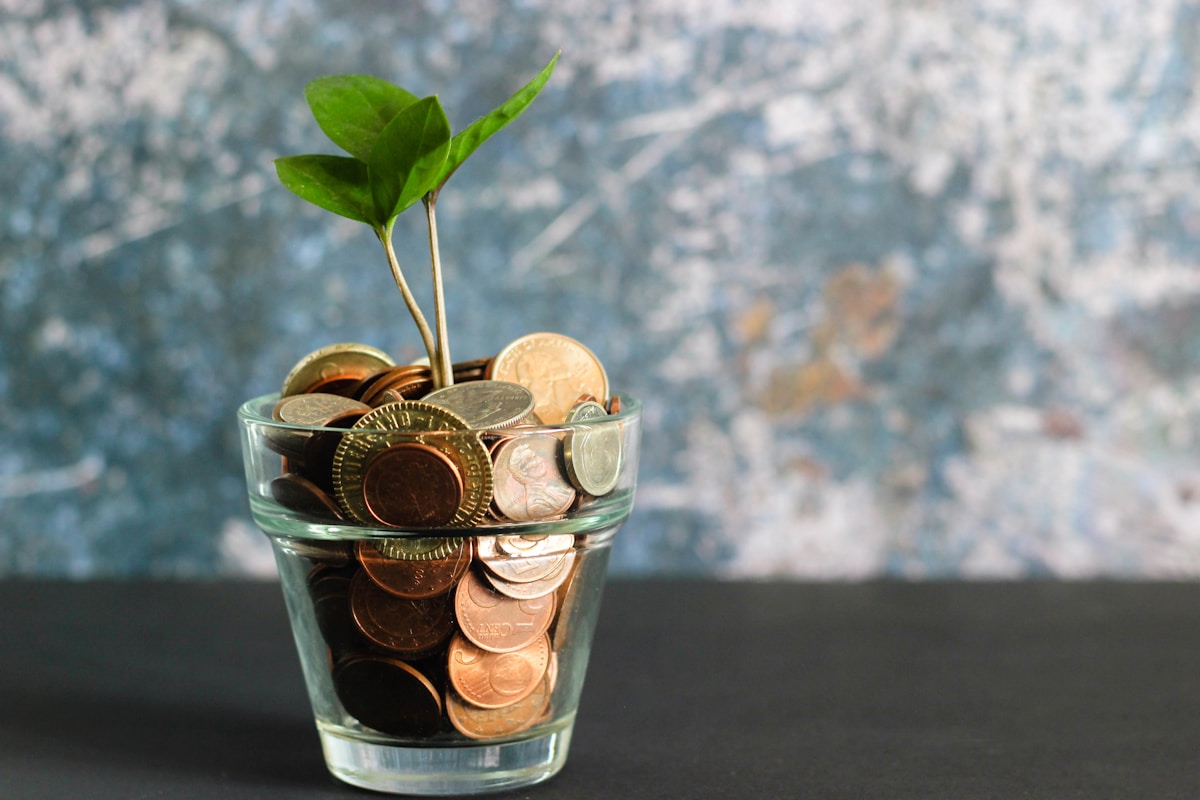 Household Savings Patterns Shift as Higher Rates Reward Cash Again