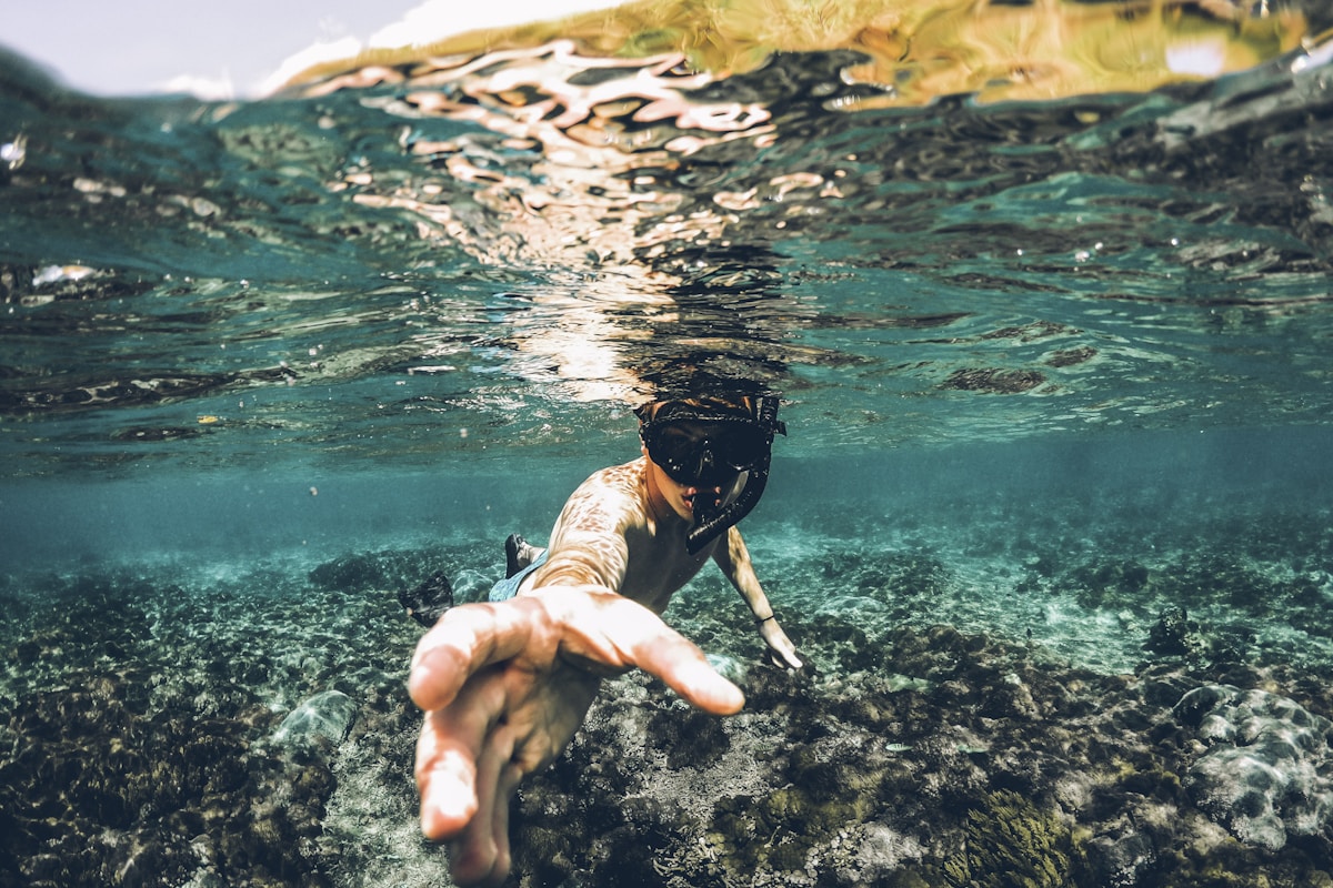 Scientists Report Breakthrough in Biodegradable Plastics That Decompose in Seawater